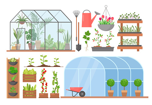 Greenhouse flower plant vegetable cultivation vector illustration set. Cartoon glasshouses for planting and growing natural organic agricultural products, garden equipment and tools isolated on white