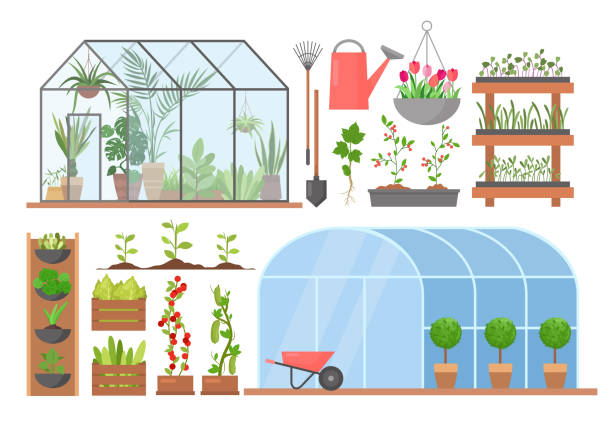 Greenhouse flower plant vegetable cultivation set, cartoon glasshouses for planting Greenhouse flower plant vegetable cultivation vector illustration set. Cartoon glasshouses for planting and growing natural organic agricultural products, garden equipment and tools isolated on white greenhouse stock illustrations