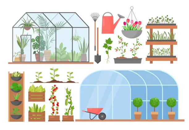 Vector illustration of Greenhouse flower plant vegetable cultivation set, cartoon glasshouses for planting