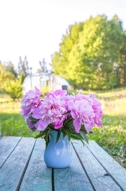 istock Peony flowers in vase. 1303372950