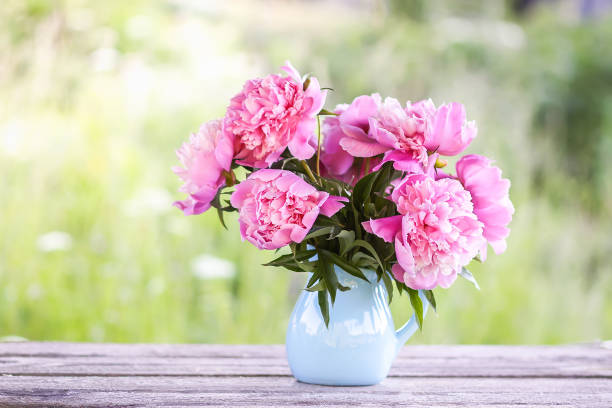 istock Peony flowers in vase. 1303373511