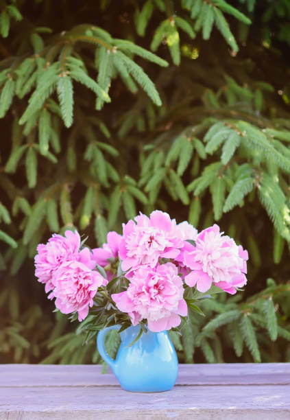 istock Peony flowers in vase. 1303373516