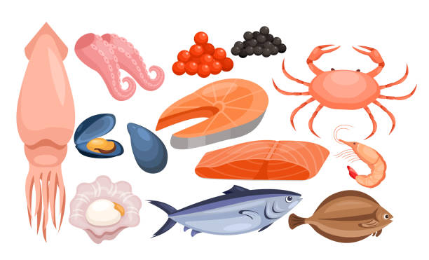 Seafood restaurant gourmet menu set, fresh underwater ocean or sea animal and fishes Seafood restaurant gourmet menu vector illustration. Cartoon fresh underwater ocean or sea animal and tuna fishes, salmon trout fillet and steak, red black caviar, prawn shellfish isolated on white shrimp prepared shrimp prawn cartoon stock illustrations