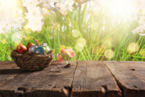 uova di pasqua in nido di uccelli su tavolo di legno ed erba verde con luci sfocate sullo sfondo. sfondo pasquale primaverile per la visualizzazione del prodotto nella parte superiore del tavolo. - wood eggs easter easter egg foto e immagini stock