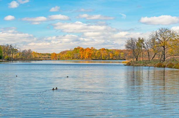 Serene Lake in the Autumn Serene Lake in the Autumn at the Ned Brown Preserve in Illinois illinois stock pictures, royalty-free photos & images