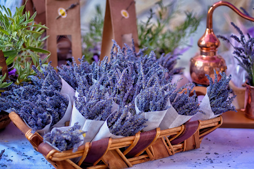 bunches of lavender flowers in white cloth cones on a wicker basket and a perfume distilling machine at the lavender festival of Brihuega, Guadalajara, Spain, selective focus
