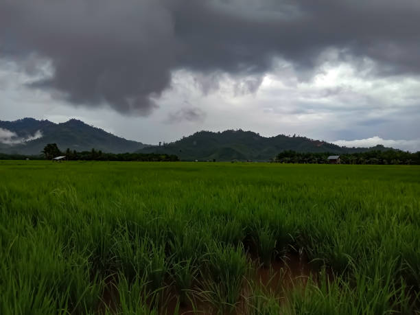 istock gardens and rice fields under cloudy skies 2 1303386914
