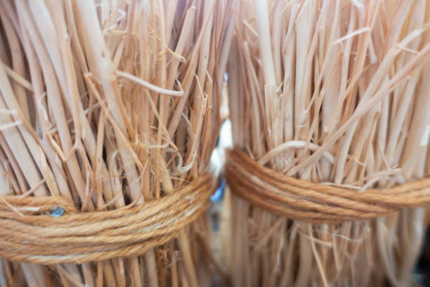 istock Decoration with dried plants in wicker basket 1303387675