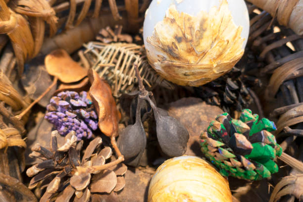 Decoration with dried plants in wicker basket