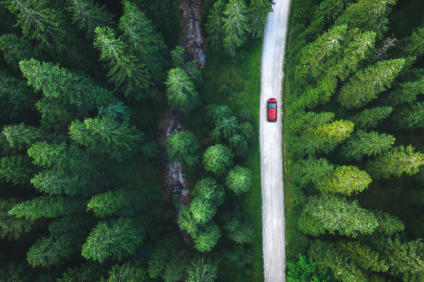 Driving Through The Forest Red car driving on idyllic country road through the green forest. slovenia photos stock pictures, royalty-free photos & images
