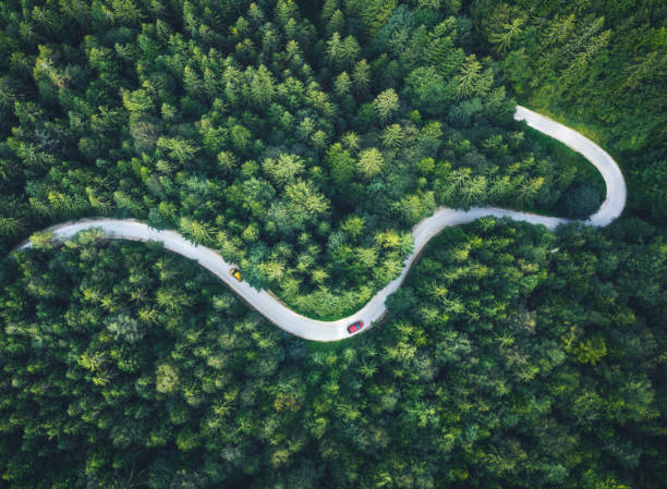 Driving On Idyllic Roads Cars driving on Idyllic winding road through the green forest. winding road stock pictures, royalty-free photos & images