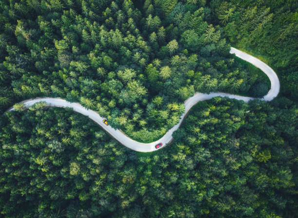 Driving On Idyllic Roads Cars driving on Idyllic winding road through the green forest. drone point of view road stock pictures, royalty-free photos & images