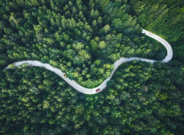 Cars driving on Idyllic winding road through the green forest.