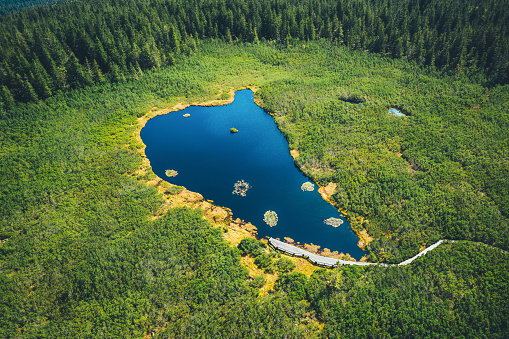 Aerial view on picturesque mountain lake (Lake Ribnisko jezero, Slovenia).