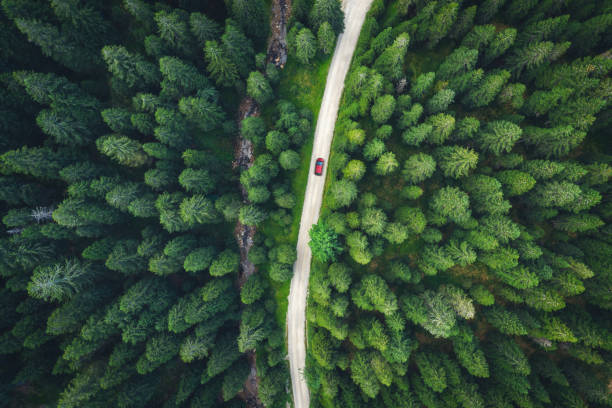 górska droga - car green nature landscape zdjęcia i obrazy z banku zdjęć