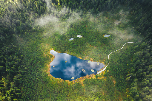 Aerial view on picturesque mountain lake (Lake Ribnisko jezero, Slovenia).