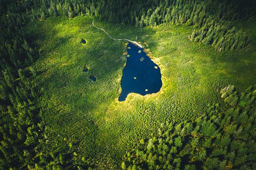 Aerial view on mountain lake (Lake Ribnisko jezero, Slovenia).