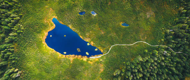 vue aérienne sur le lac blue mountain - mountain nature abstract forest swamp photos et images de collection