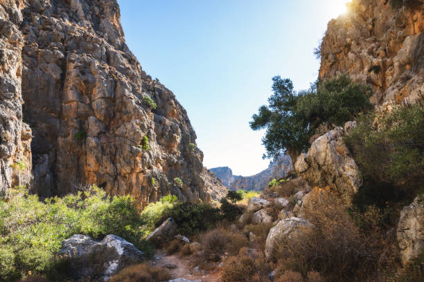 Path through the Chochlakies gorge (Crete, Greece).