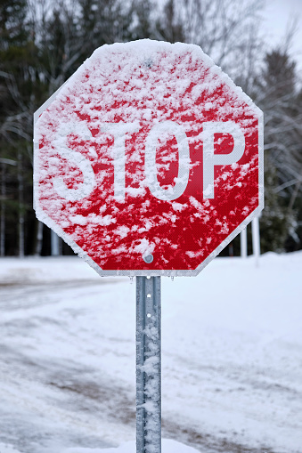 A bright red stop sign is covered in fresh white snow.