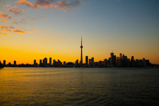 Looking out at the Toronto skyline from behind a park bench on the Toronto Islands.