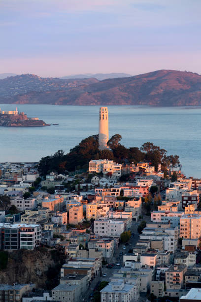 vistas de san francisco - tower coit tower san francisco bay area san francisco county fotografías e imágenes de stock