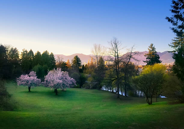 Spring at Queen Elizabeth Park, Vancouver