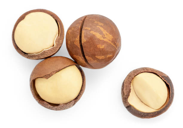 istock Macadamia nuts isolated on white background, top view. Organic Shelled and Unshelled macadamia nut. Flat lay.
