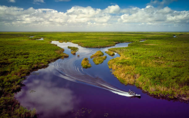 vue aérienne des everglades de la floride - marécage photos et images de collection