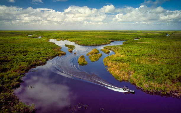 플로리다 에버글레이즈의 공중 보기 - swamp 뉴스 사진 이미지