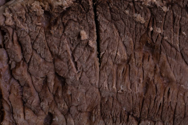 Piece of cooked cow meat