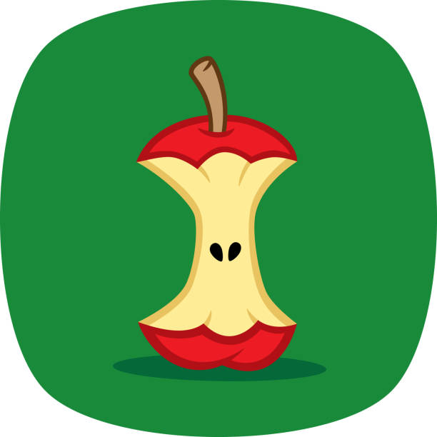 apple core doodle 1 - red delicious apple illustrations stock-grafiken, -clipart, -cartoons und -symbole