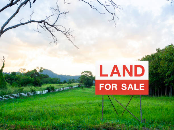 istock Land for sale sign on empty land. 1303409449