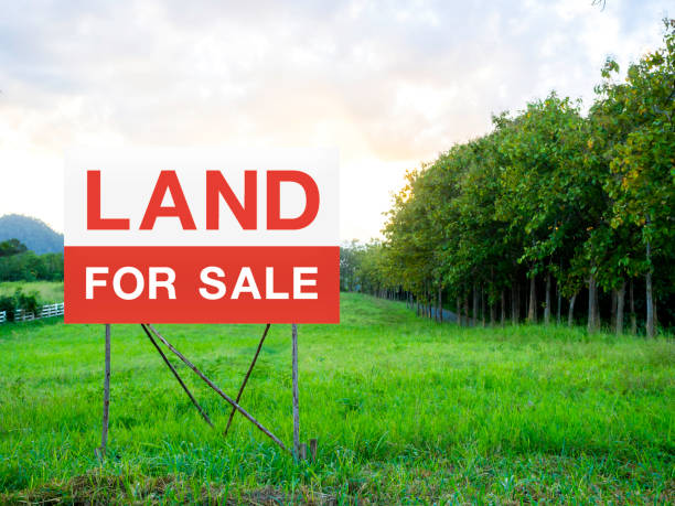 istock Land for sale sign on empty land. 1303409450