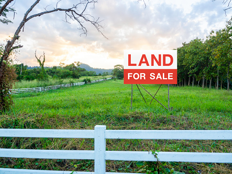 Land for sale sign on empty land, green meadow near the tree and surrounded with white wooden fence on beautiful sky background. Red and white letters on sign board. Real estate concept.