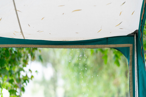 Water drips off a tent awning in a camping ground in New Zealand in summer as the rain continues. A pool of rain water has formed a bulge in the awning roof. Leaves from nearby trees are stuck to the roof of the awning by the wet.