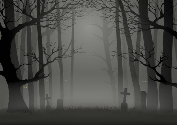 деревья в темных страшных лесах - cemetery stock illustrations