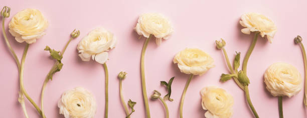 istock Beautiful spring flowers on pink background, flower frame composition 1303417050