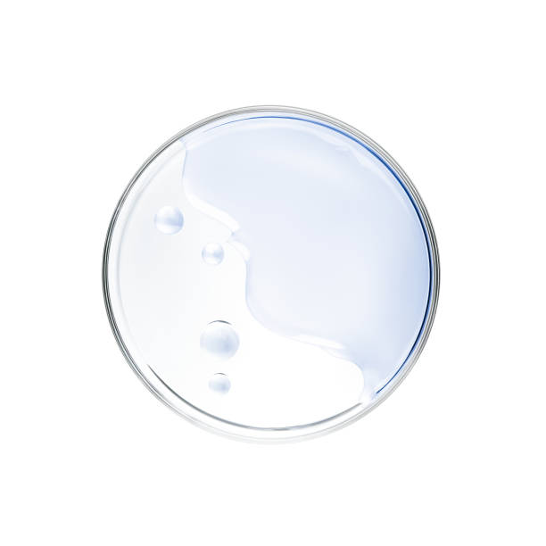 istock Liquid in petri dish over white background - flat lay 1303419336