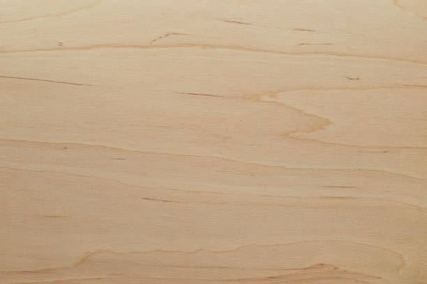 istock Plywood board texture 1303425284