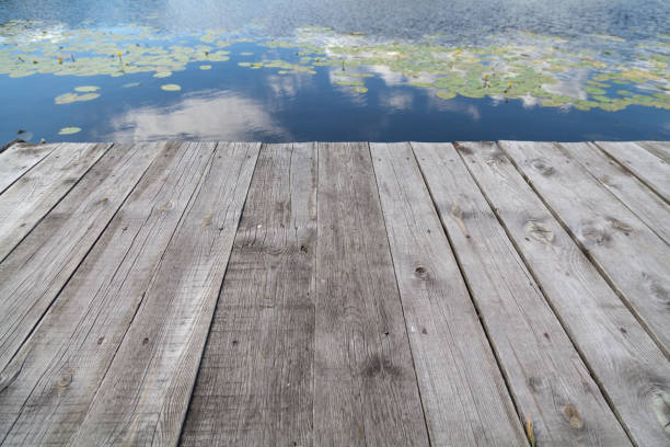 Brown boots sit at the edge of a flooded boardwalk in a swampy area in the Royal Botanical Gardens