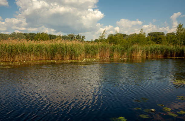 vienna, National park lobau, lobau