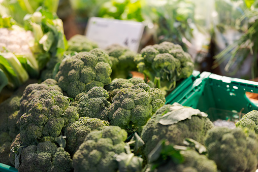 Unpacked loose broccoli in green plastic box on display in organic super market