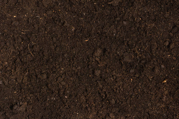 istock Texture of fertile soil top view. 1303431416