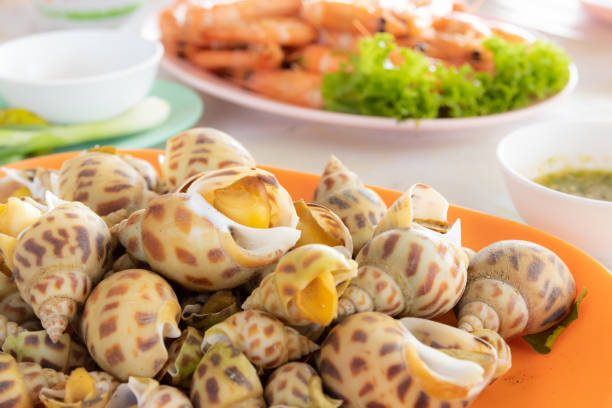 istock roasted Spotted babylon. Thai seafood 1303431725