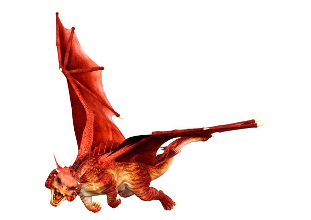3D rendering of a fantasy dragon isolated on white background