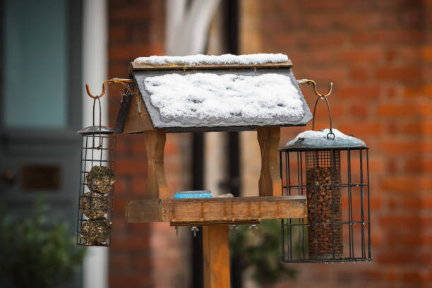 Bird feeder and birdhouse covered by snow in winter, London street