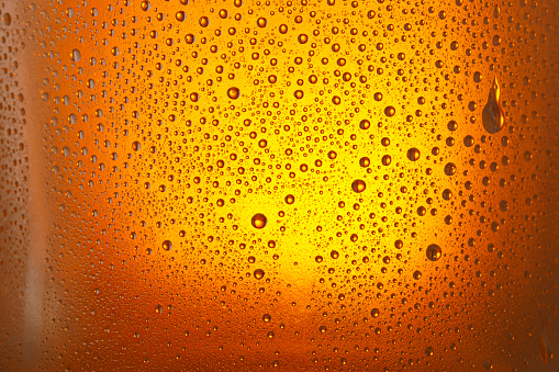 beer splashes collection isolated on white background