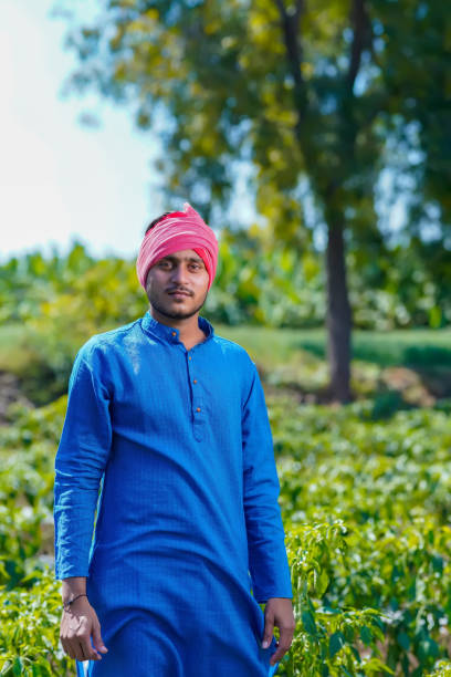 istock Young indian farmer standing at green chilly field 1303447936