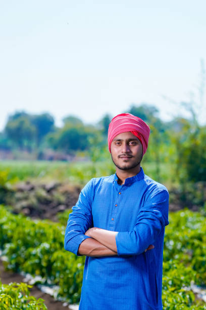 istock Young indian farmer standing at green chilly field 1303447966
